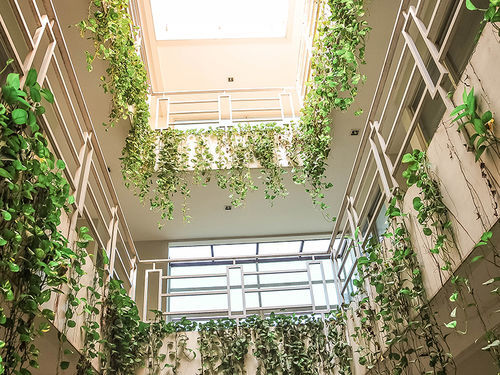 LeGreen Suite Pejompongan Jakarta Buitenkant foto